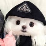 Bianca Molina Avatar