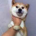 Laura Martínez Avatar